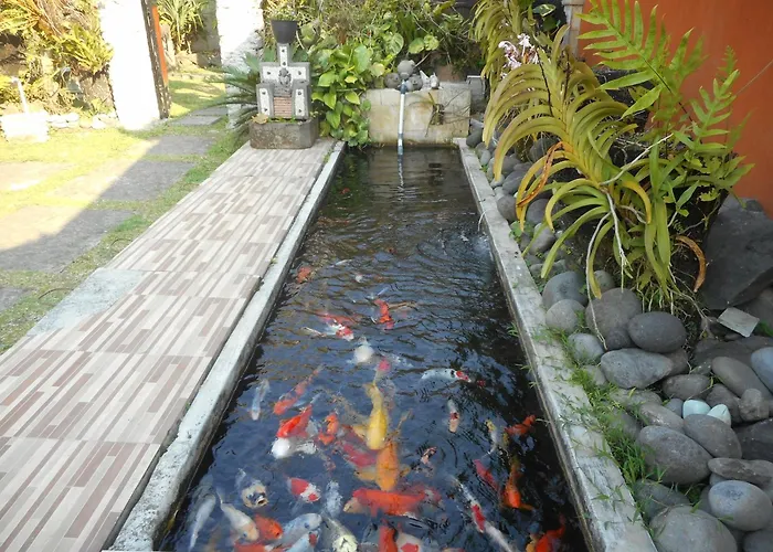 Accommodatie bij particulieren Candra *